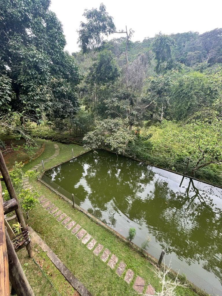 Poço de peixes